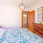 Orchidea فيلة